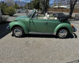 1979 Volkswagen Beetle Convertible 